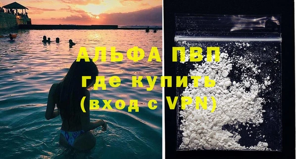 PSILOCYBIN Костерёво