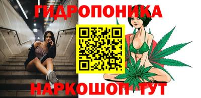 дурь Аша