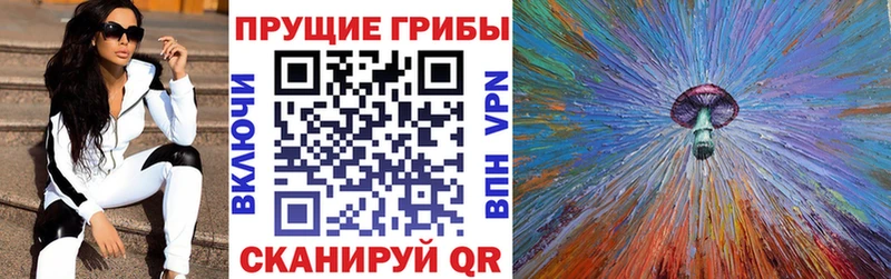 сколько стоит  Темрюк  нарко площадка клад  Галлюциногенные грибы Psilocybine cubensis 
