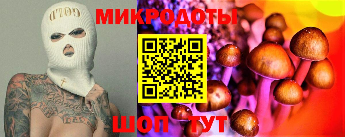 Псилоцибиновые грибы MAGIC MUSHROOMS Темрюк